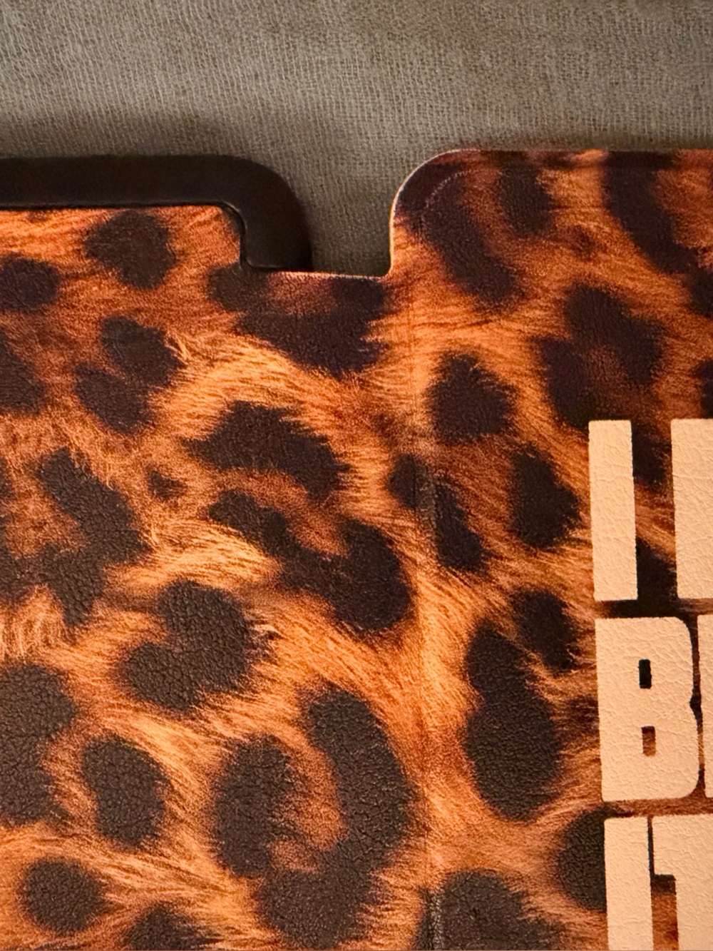 Kindle Basic Case - Picture 5 of 7